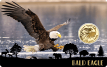 Untamed Freedom - Eagle Tribute Collection