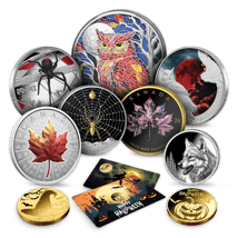 Spooky Autumn - Halloween Season Collection