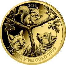 1/200 Unze Gold Baby Eichhörnchen 2026 (Auflage: 500 | Polierte Platte)