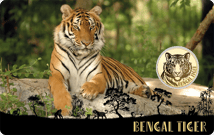 Asiens Wildnis in Gold und Silber