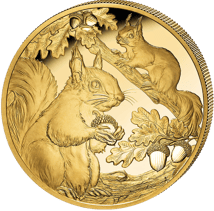 1 Unze Gold Eichhörnchen 2026 (Auflage: 30 | Polierte Platte)