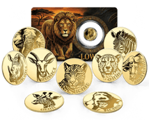 Afrikas Tierwelt in Gold