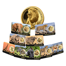 Afrikas Tierwelt in Gold