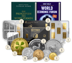 Webinar Paket M