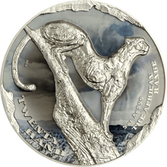 African Range 2026 silver coin