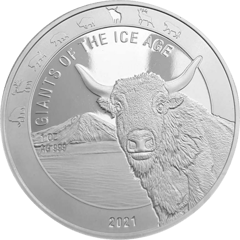 Uro, imagen de la moneda