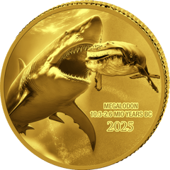 Megalodón, imagen de la moneda