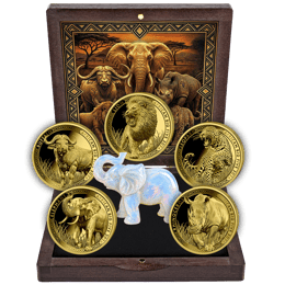 African Big Five – 5er Goldset 2026 (Auflage: 200 | Polierte Platte)