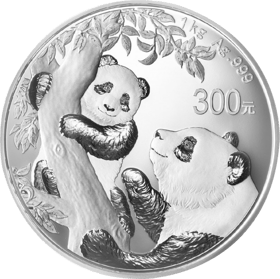 China Panda, Polierte Platte, Abbildung