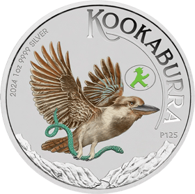 Kookaburra, In Farbe, Abbildung