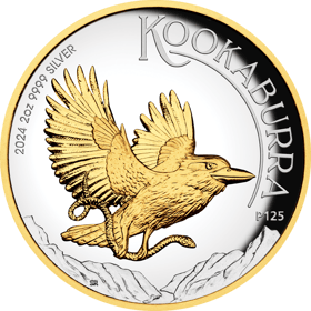 Kookaburra, Teilvergoldet, Abbildung