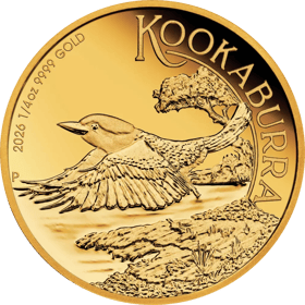 Kookaburra, Polierte Platte, Abbildung