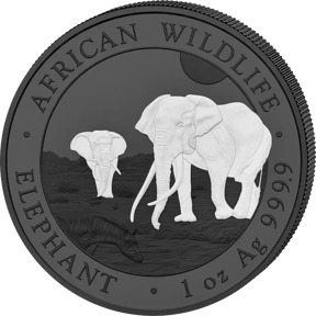 Silber Somalia Elefant Black & White Set 2026 (Auflage: 500)