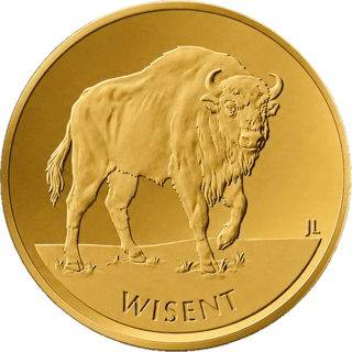 20 euro European bison 2026, picture side