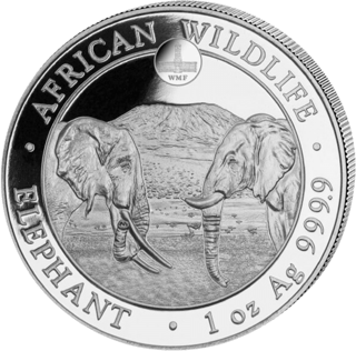 The elephant of the 2020 issue, image
