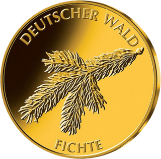 20‑Euro‑Goldmünze Fichte 2012, Bildseite