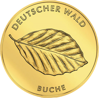 20‑Euro‑Goldmünze Buche 2011, Bildseite