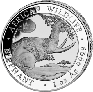 The elephant of the 2023 issue, image