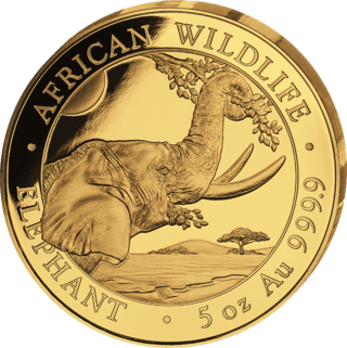 The elephant of the 2023 issue, image