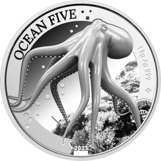 Oktopus, Abbildung der Münze
