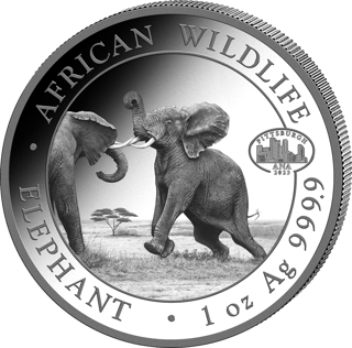 The elephant of the 2024 issue, image