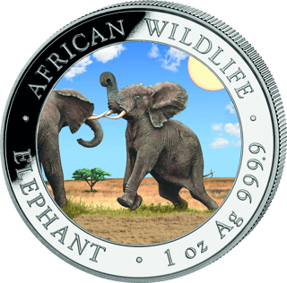 El elefante del año 2024, imagen