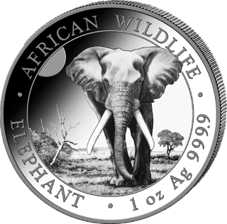 Der Elefant des Jahrgangs 2025, Abbildung