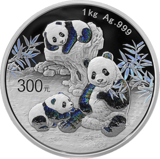The panda of the 2025 issue, image