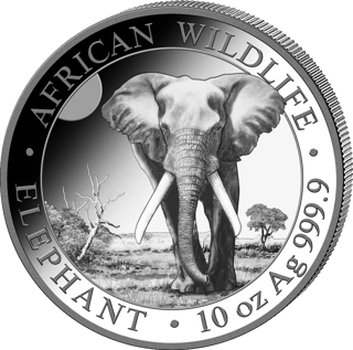 El elefante del año 2025, imagen