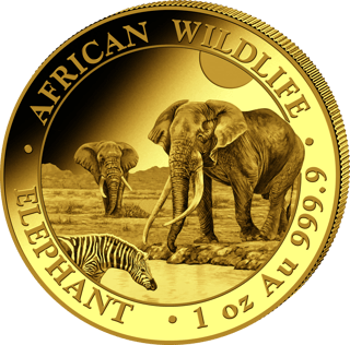 El elefante del año 2026, imagen