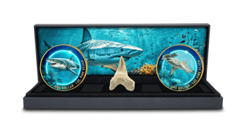 Hai Silber Set 2024 mit echtem Haizahn (Auflage: 50 | teilvergoldet)