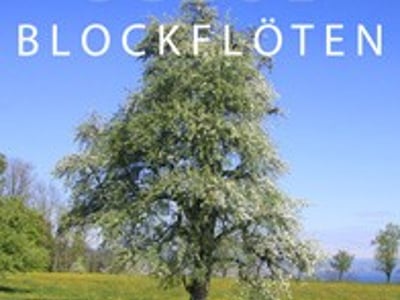 Schul-Blockflöten