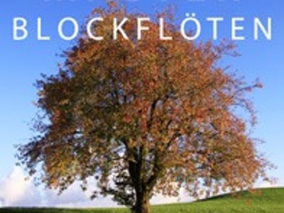 Master-Blockflöten