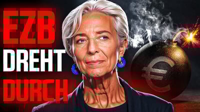 EZB ignoriert Finanzrisiken: 5 EU-Länder vor Kollaps