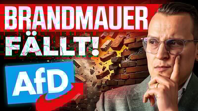 Kölner Gerichtsurteil: Brandmauer bröckelt – AfD-Einstufung gekippt