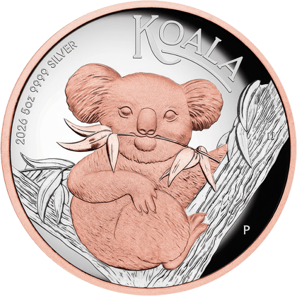 Koala, 5 oz