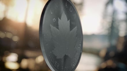 Live-Webinar am 17. Dezember