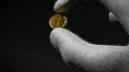 Live-Webinar am 17. Dezember