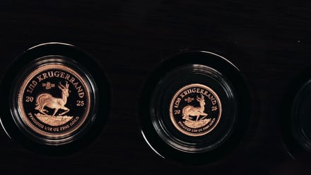 Live-Webinar am 26. November