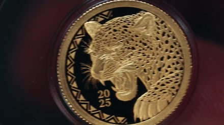 Gold über 4.000 Dollar – Hat das goldene Jahrzehnt begonnen?