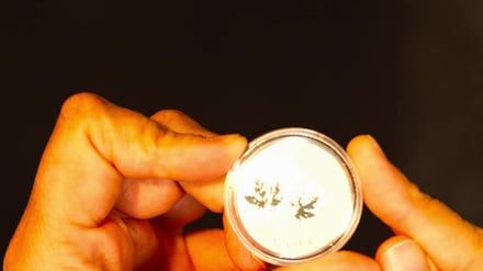 Live-Webinar am 25. Januar