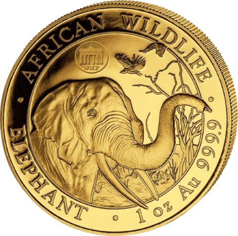 Elefante Somalia, 1 onza, imagen