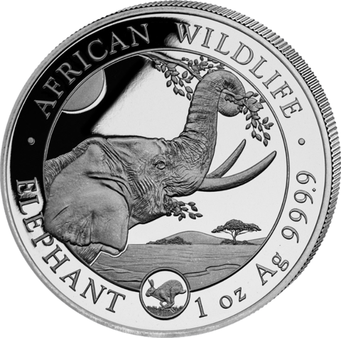 Somalia Elefant, 1 Unze, Abbildung