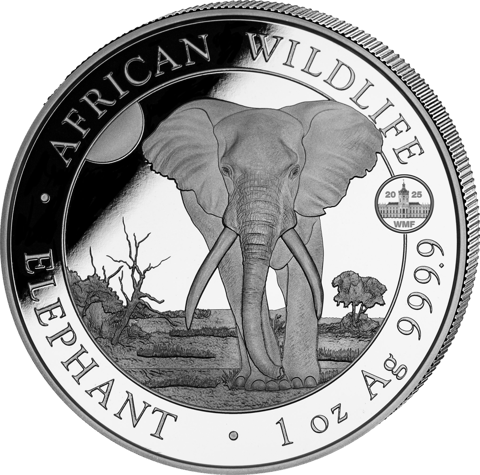 Somalia Elefant, 1 Unze, Abbildung
