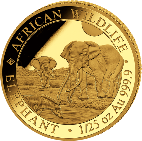 Somalia Elefant, 1/25 Unze, Abbildung