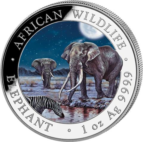 The coin by night, image