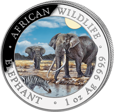The coin by day, image