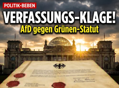 AfD zieht gegen Grünen-Frauenstatut vor das Bundesverfassungsgericht