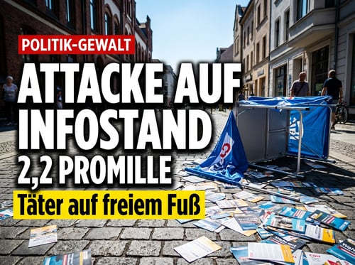 Angriff auf AfD-Infostand in Berlin-Köpenick: Betrunkener attackiert Parteimitarbeiter
