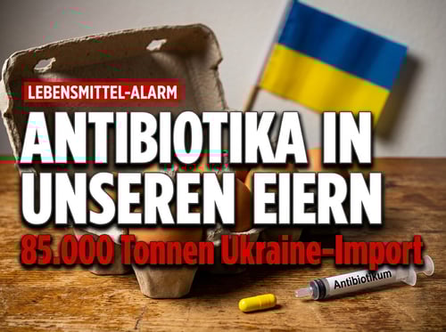 Antibiotika-Eier aus der Ukraine: Wie die EU-Solidarität deutsche Verbraucher gefährdet